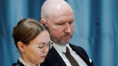 Breivik se podle agentury AFP se na rozdíl od svých předchozích veřejných vystoupení zdržel jakýchkoli provokací