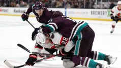 Anaheim vyhrál 2:1 nad Ottawou