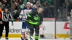Radek Faksa věří, že v letošní sezoně může s Dallasem Stars dojít v play off až k titulu (archivní foto)