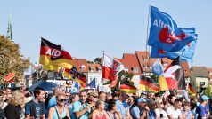 AfD