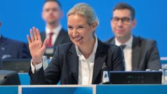 Alice Weidelová, spoluvedoucí a kandidátka na kancléřku strany Alternativa pro Německo (AfD) pro nadcházející parlamentní volby, reaguje na sjezdu strany AfD v Riese