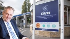 Kromě lékařů, právníka Jana Kysely a předsedy Senátu Miloše Vystrčila Zeman v podnětu poukazuje na další senátory, kteří o případné aktivaci článku 66 mluvili před médii