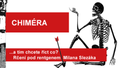Rčení pod rentgenem Milana Slezáka: Chiméra.