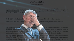 Andrej Babiš se vrátí před soud, který znovu projedná kauzu Čapí hnízdo