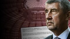 Andrej Babiš v kauze Čapí hnízdo