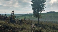 Požár v noci na neděli postihl zhruba desetihektarovou plochu ve vojenském prostoru Libavá