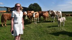 Farmářka Liz Websterová na Water Eaton v Oxfordshiru