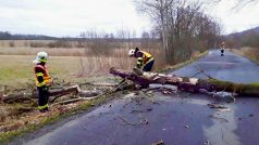 Spadané škody způsobily komplikace v dopravě i poruchy na elektrickém vedení