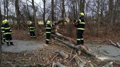 Hasiči v Pardubickém kraji odklízí kvůli silnému větru popadané stromy