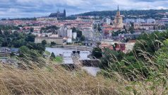 Pozemky s výhledem na Prahu získala od České zemědělské univerzity firma bez zaměstnanců i peněz