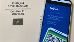 Digitální covidové certifikáty, známé jako covidpasy, už fungují ve všech zemích Evropské unie. Některé státy jako Česko je zavedly s předstihem.