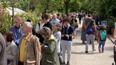 Rakouská metropole má za sebou botanický svátek. V zahradách vídeňské univerzity totiž vykvetla největší květina světa