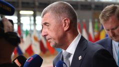 Český premiér Andrej Babiš z hnutí ANO