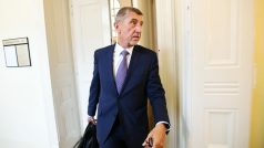 Tento týden se už Andrej Babiš k soudu nevrátí, zítřejšímu setkání se svým synem se chce vyhnout