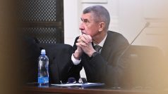 Andrej Babiš 14. února u soudu v kauze Čapí hnízdo