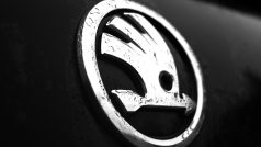 Logo firmy Škoda Auto