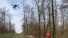 Martin Krůček s dronem skenuje les