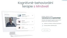 Webová aplikace Mindwell