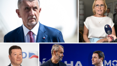 V jaké formě jsou opoziční strany? Hodnotí politolog Naxera