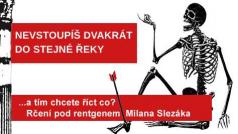 Rčení pod rentgenem Milana Slezáka: Nevstoupíš dvakrát do stejné řeky.