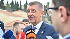 Premiér Andrej Babiš