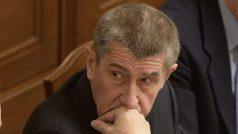 Premiér Andrej Babiš při jednání o vyslovení důvěry jeho menšinové jednobarevné vládě