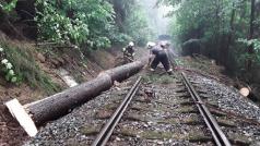 Zřejmě kvůli silnému větru spadl u Bohdíkova strom do kolejiště, narazil do něj osobní vlak