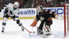 Útočník Tomáš Hertl při snaze prostřeli gólmana Anaheimu Johna Gibsona