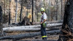 Dobrovolný hasič z Křešic na Děčínsku prochází Dlouhý důl nad Edmundovou (Tichou) soutěskou, kde hlídá část první oblasti předané hasiči správě parku po ukončení hašení požáru