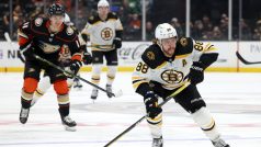 David Pastrňák v zápase proti Anaheimu Ducks