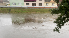 Řeka Nežárka ve Veselí nad Lužnicí