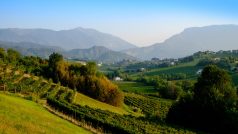 Krajina mezi městy Conegliano a Valdobbiadene na severovýchodě Itálie, z níž pochází šumivé víno prosecco.