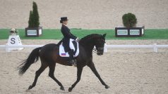 Mezinárodní jezdecká federace (FEI) umožní reprezentantům z Ruska a Běloruska návrat do svých soutěží, v nichž budou moci závodit jako neutrální sportovci