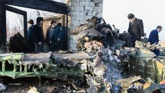 U Teheránu se zřítil boeing největších ukrajinských aerolinek UIA. Všichni na palubě zahynuli