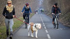 Cyklistky na cyklostezce Rokytka v Praze-Vysočanech