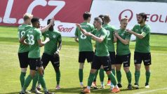 Fotbalisté Příbrami (archivní foto)