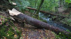 Edmundova soutěska (foto z října 2024)