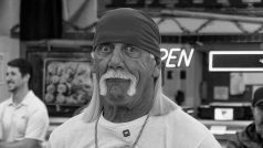 Hulk Hogan