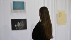Výstava fotografky Libuše Jarcovjákové a jejího otce, malíře a grafika Vladimíra Jarcovjáka