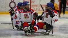 Čeští sledge hokejisté si zahrají na zimních paralympijských hrách v Pchjongčchangu.