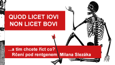 Rčení pod rentgenem Milana Slezáka: Quod licet Iovi, non licet bovi.