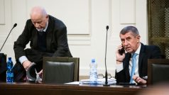 Andrej Babiš u soudu v kauze Čapí hnízdo