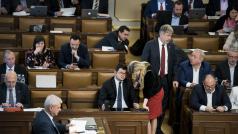 Poslanci ČSSD během jendání Poslanecké sněmovny, Na snímu v popředí šéf klubu poslanců ČSSD Jan Chvojka a Kateřina Valachová