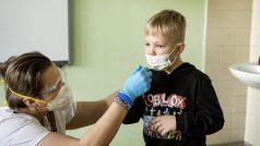 Testování žáků na covid-19, testy Lepu Medical