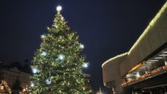 Vánoční strom se rozsvítí první adventní neděli 30. listopadu v šest hodin večer (archivní foto)