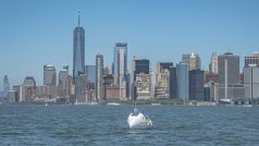 Světlík už má vymyšlené, jak to za rok udělat znovu a lépe. Vyplout směrem k Anglii chce z Manhattanu na konci dubna.