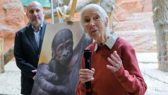 Jane Goodallová udělila samičce gorily nížinné narozené 12. dubna v Zoo Praha jméno Gaia