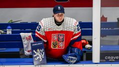 Zápas českých hokejistek proti Kanadě na mistrovství světa v Českých Budějovicích