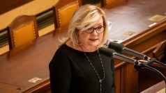 Alena Schillerová (hnutí ANO) ve Sněmovně při projednávání a schvalování novely o růstu televizního a rozhlasového poplatku s rozšířením okruhu poplatníků (24. ledna)