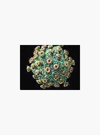 Virus HIV